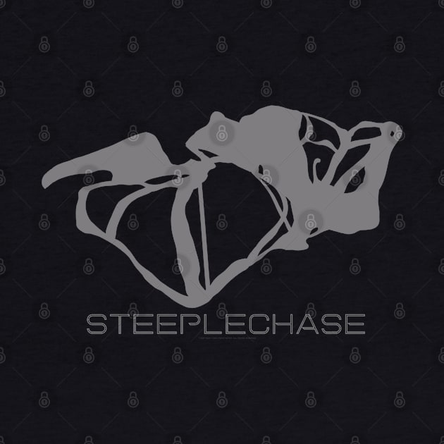 Steeplechase Resort 3D by Mapsynergy